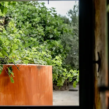 Appartamento Orama Stone - Authentic Hospitality In A Historical Location, By Zantewize *