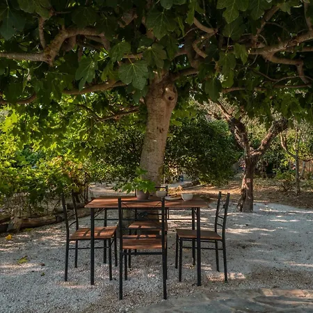 Orama Stone - Authentic Hospitality In A Historical Location, By Zantewize * Zakynthos